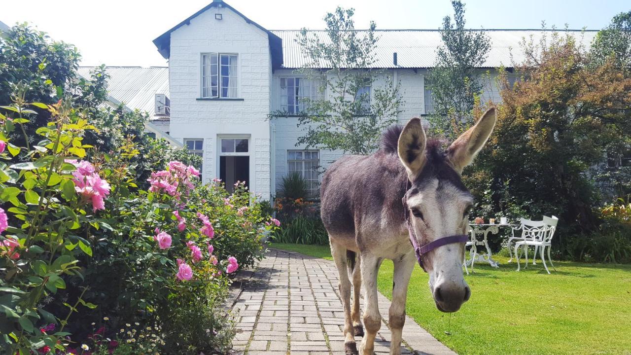 Green Lantern Inn Van Reenen Экстерьер фото